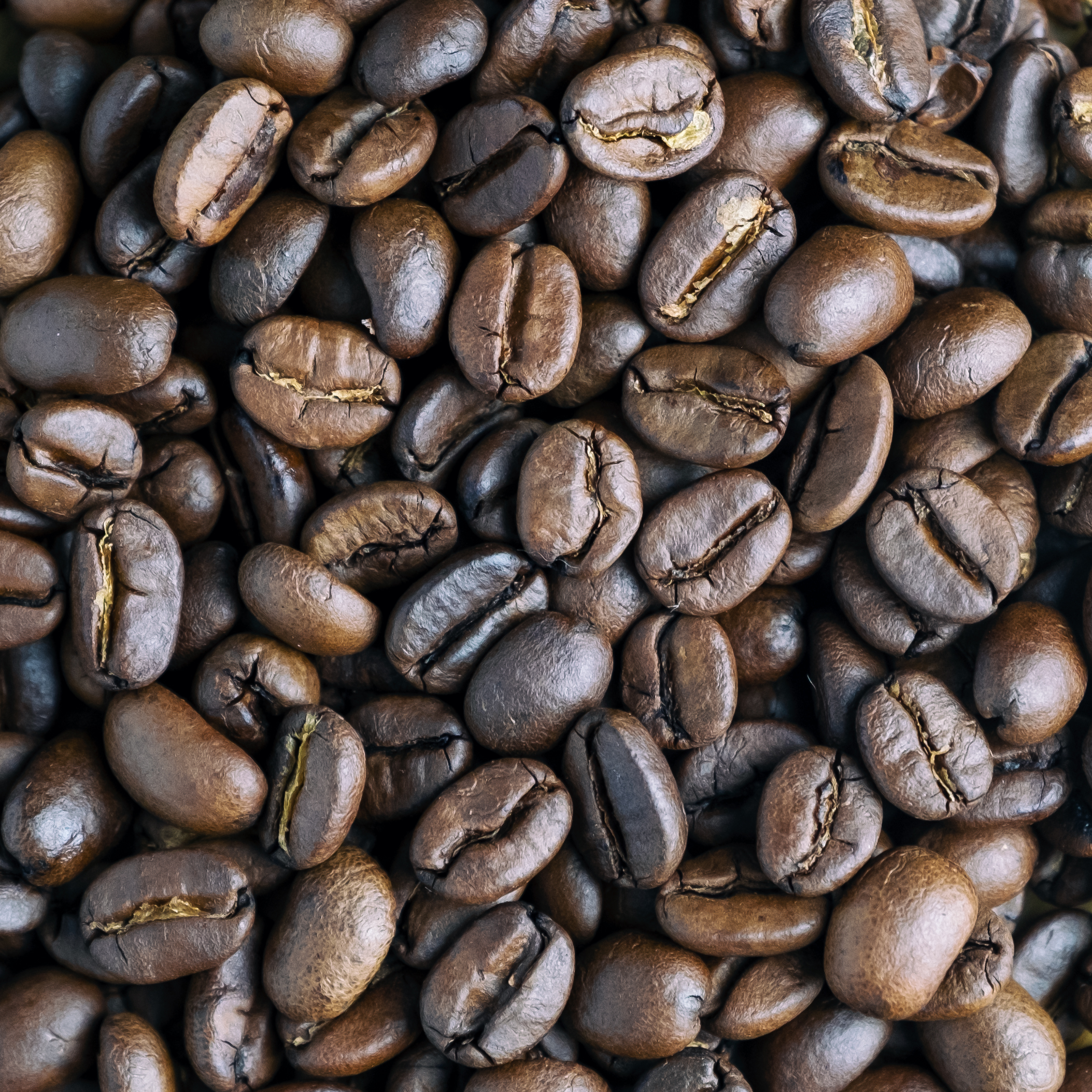closeup image of coffee beans