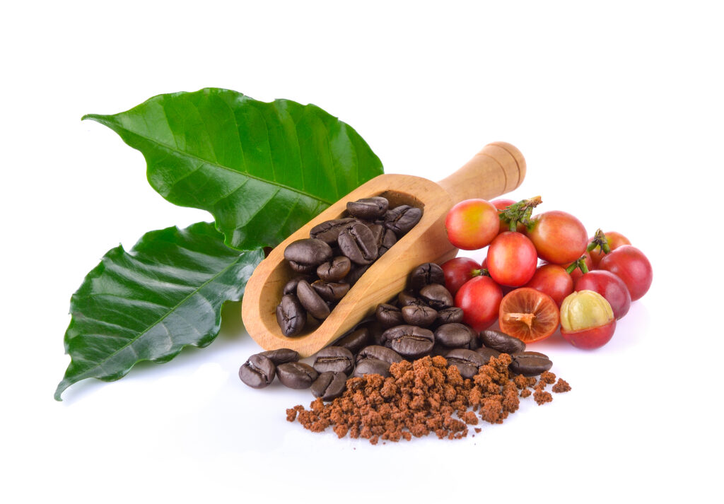 coffee grains and leaves on white background